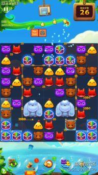 鸟炸天视频,震撼视频揭秘神秘现象