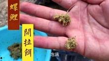 拉饵视频,钓鱼技巧与饵料搭配全解析